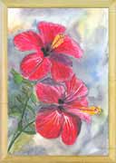Red Hibiscus